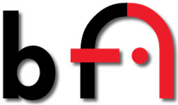 Logo Bund zur Förderung Sehbehinderter e.V.